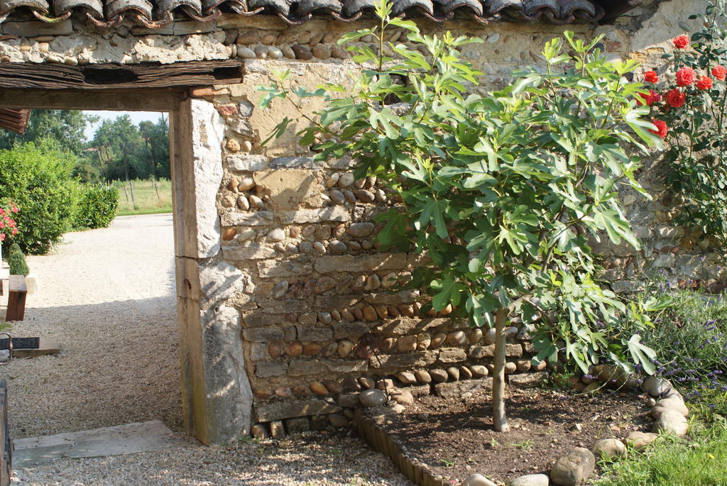 Le Moulin De Champagne Bed & Breakfast Viriat Exterior photo